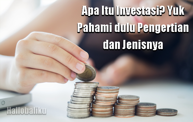 Apa Itu Investasi? Yuk Pahami Dulu Pengertian Dan Jenisnya | HalloBaliku