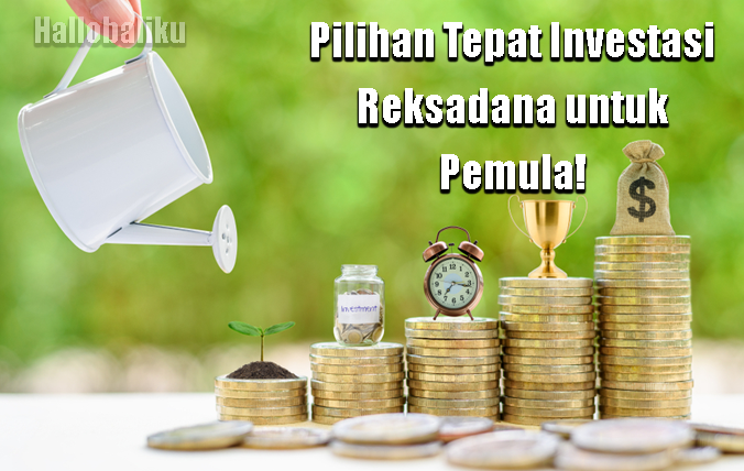 Investasi reksadana untuk pemula