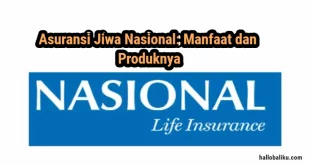 Asuransi Jiwa Nasional