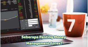 Money Management Forex