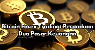 Bitcoin Forex Trading 